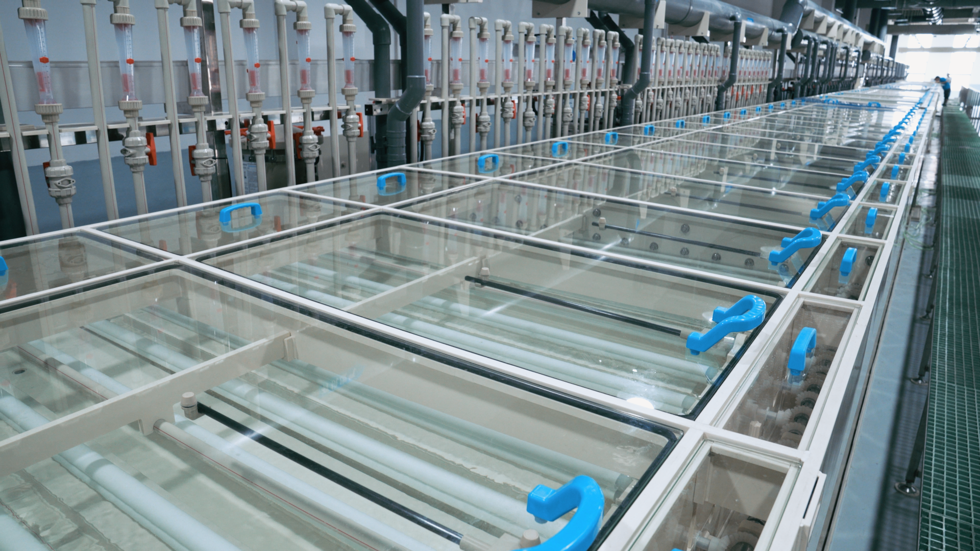 �Ƿ�����(�й���)-�ٷ���վ