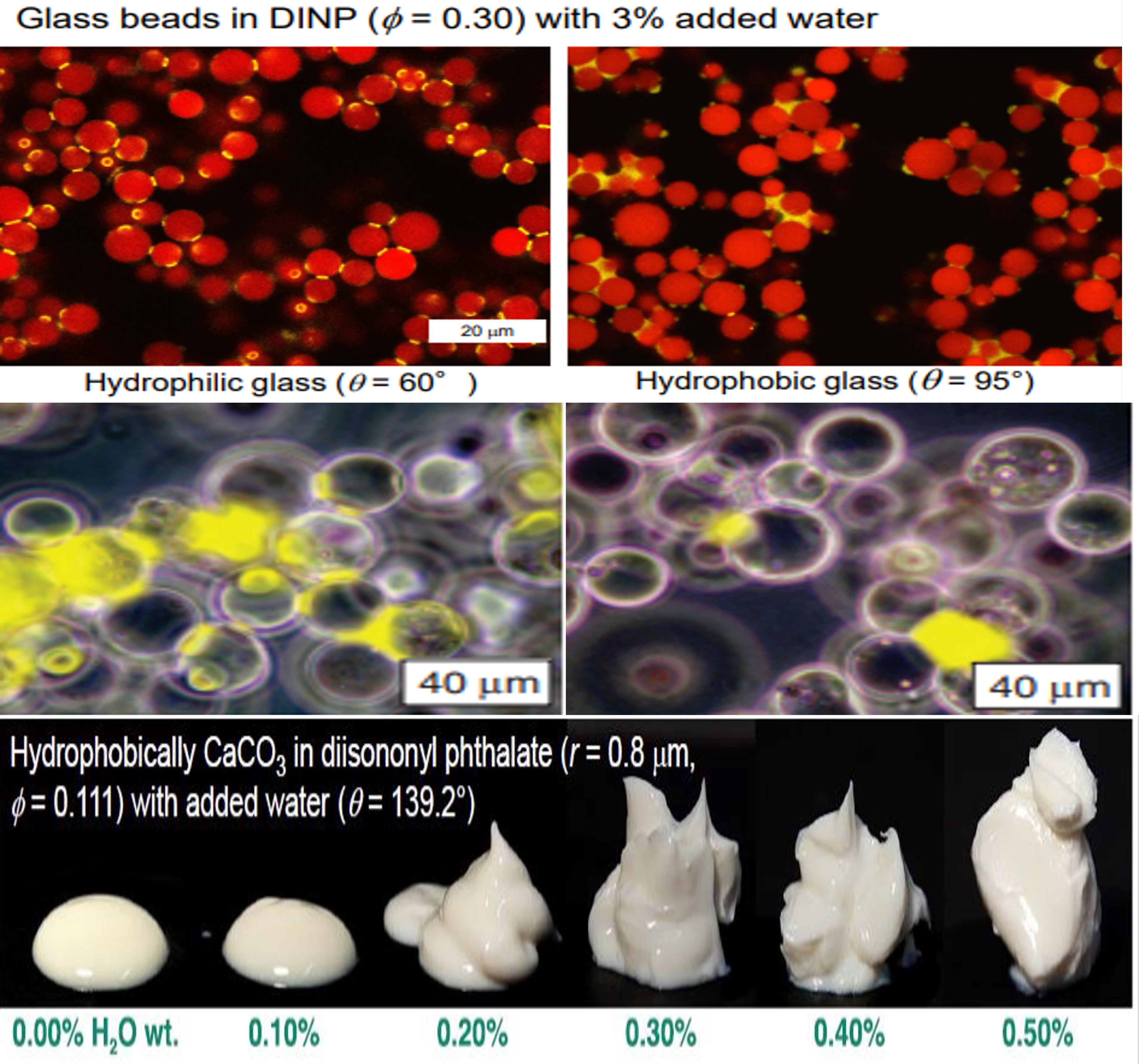 �Ƿ�����(�й���)-�ٷ���վ